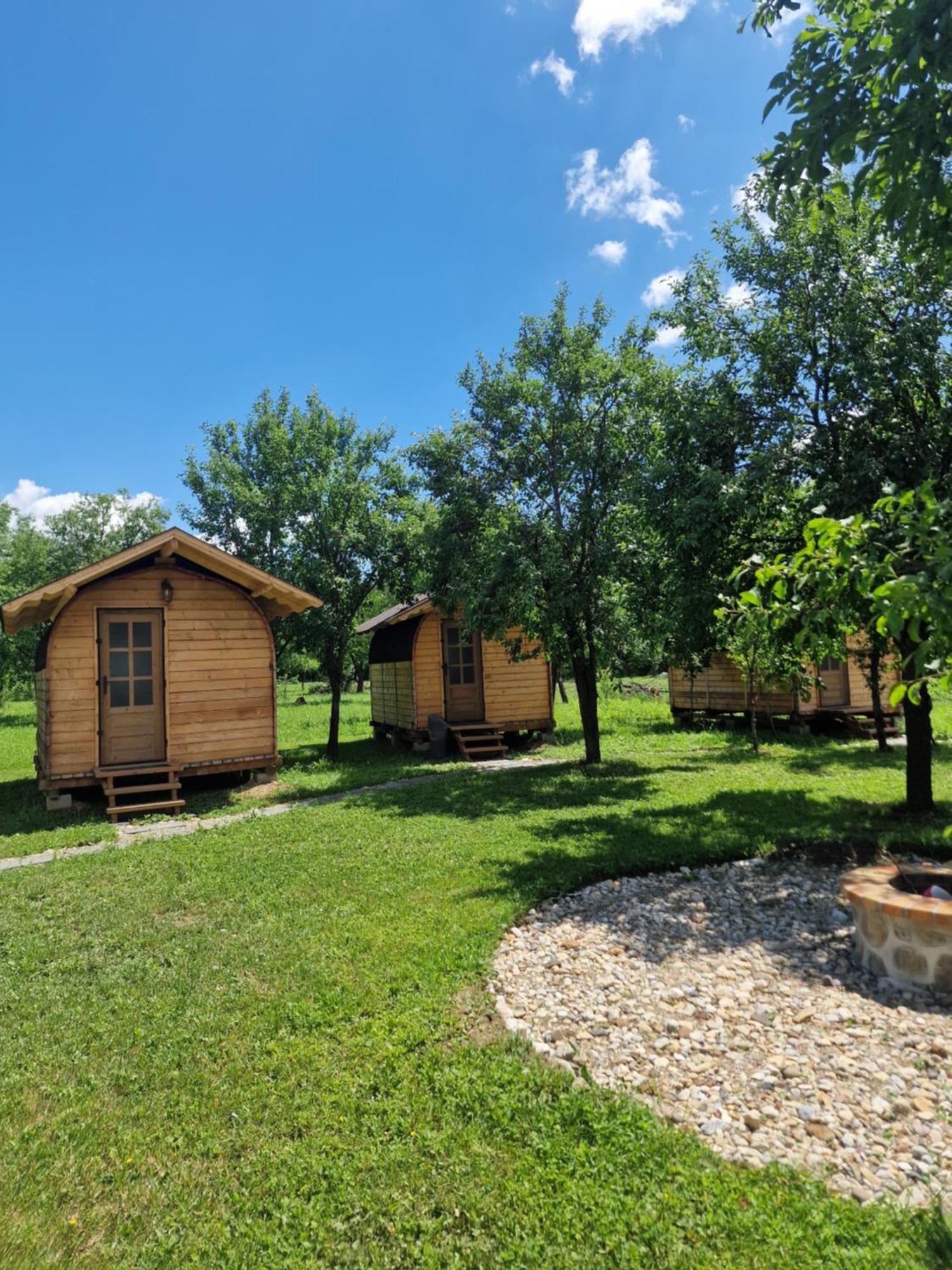 Cristel Casuta Fara Ganduri Campsite *